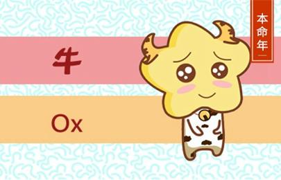 15_牛 (6) 15_牛 (6)