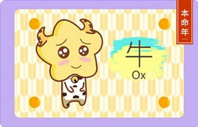 15_牛 (11) 15_牛 (11)