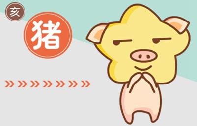 19_猪 (3)