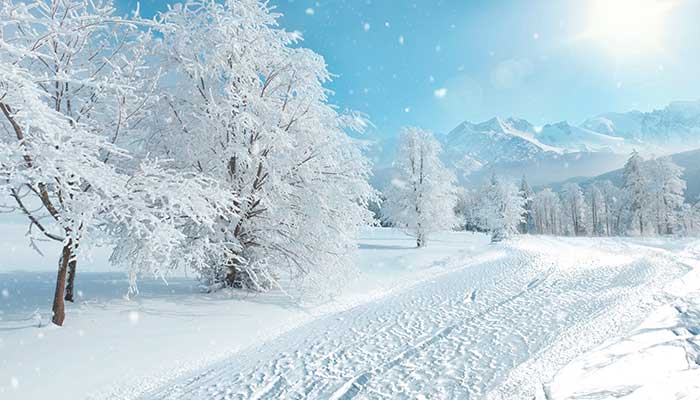 男人梦到下雪了是什么意思 男人梦到下雪了有什么征兆