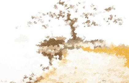 今天喜神方位:2021年10月2日宜向什么方向 今天喜神方位:2021年10月2日宜向什么方向