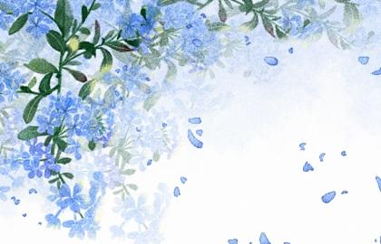 谷雨节气适合吃什么食物 