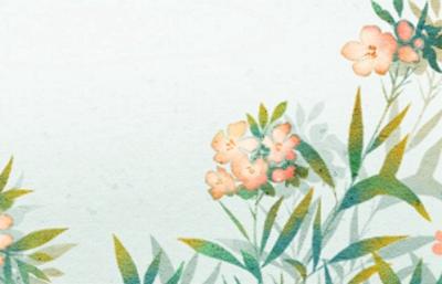 客厅电视两边摆什么植物旺财