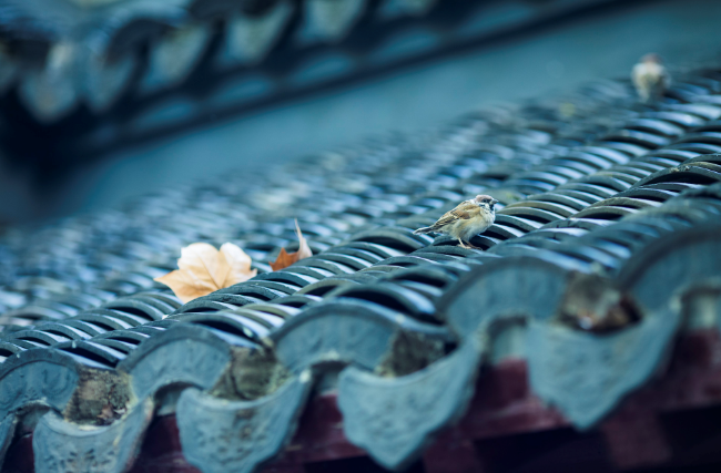 闰年几年一次 每隔几年出现一次闰年