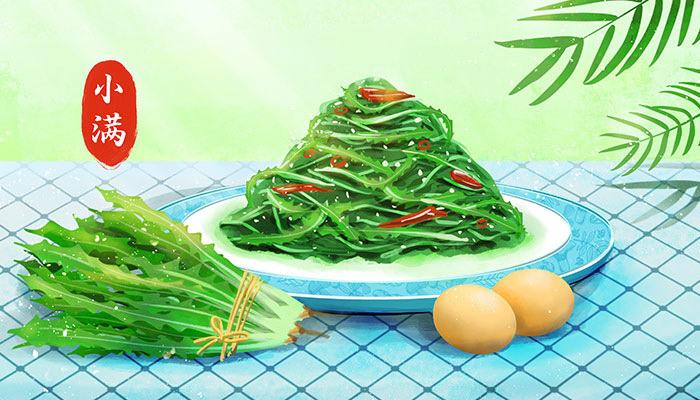 小满节气的风俗食物 小满节气吃什么传统食物
