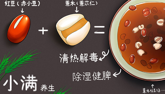 小满吃什么食物养生 小满养生吃什么好