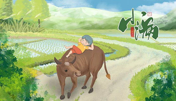 小满这个节气的气候特点 小满节气的天气特点是什么
