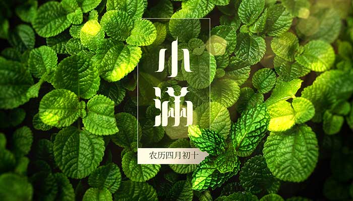 2021小满是几月几号农历 今年什么时候是小满
