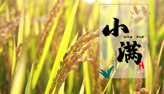 2021小满是几月几号农历 今年什么时候是小满