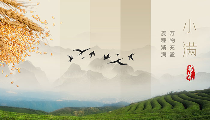 2021年小满时间几点几分几秒 今年小满是什么时间