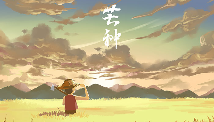 芒种节气的特点是什么 芒种有什么物候现象