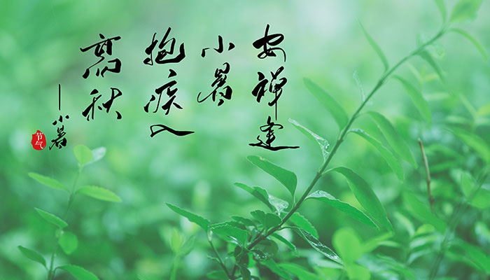 小暑节气介绍 小暑是什么意思