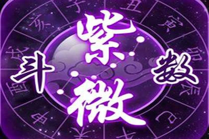 紫 微 斗数