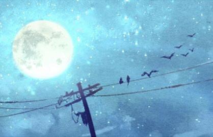 解读命格