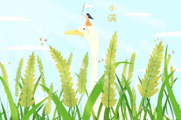 立夏之后下一个节气是什么 24节气立夏之后是什么