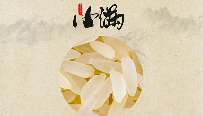 关于小满节气的古诗词 描写小满的古诗词