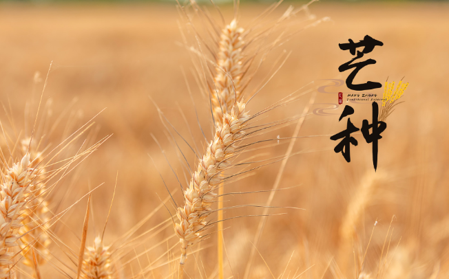 2022年芒种时间几点几分几秒 2022芒种是哪一天的什么时候