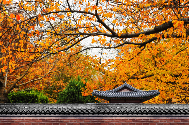 2021年9月23日是什么日子 2021年9月23日有什么节日