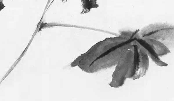 1622377577199601.jpg bazi (188).jpg