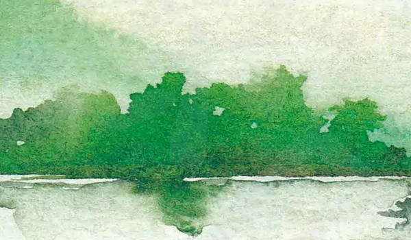 1630655577127287.jpg 2020-04-28_195018.jpg