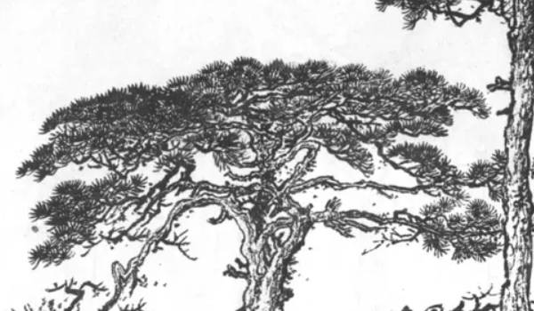 1629109158736205.jpg gsqm (177).jpg