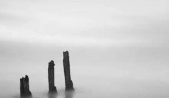 1622476158653973.jpg 2021-02-03_225001.jpg