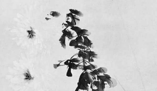 1617698209373862.jpg bazi (167).jpg