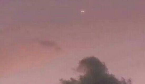 1622214050807395.jpg 2021-03-08_010327.jpg
