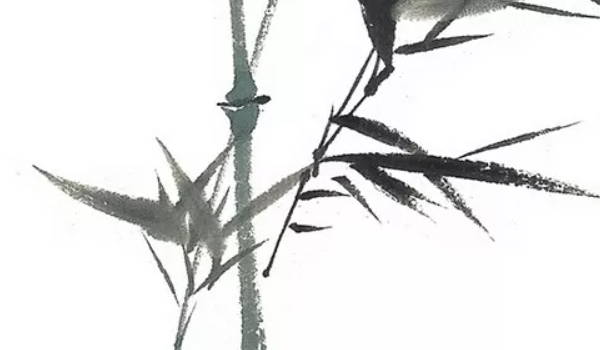 1618554346682075.jpg bazi (251).jpg