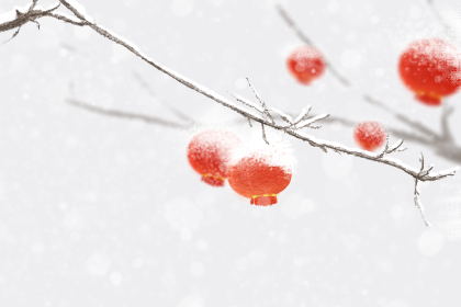 描写上元节的诗句 上元节古诗大全 描写上元节的诗句 上元节古诗大全