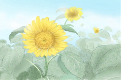 元宵节的风俗_元宵节具体有哪些风俗