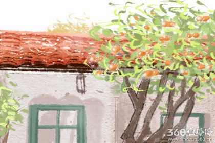 传统节日