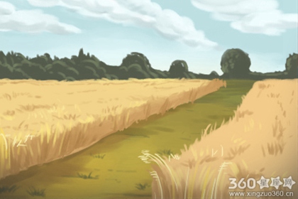 建军节手抄报插图