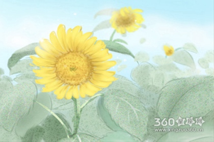 元宵节的由来与传说50字精选
