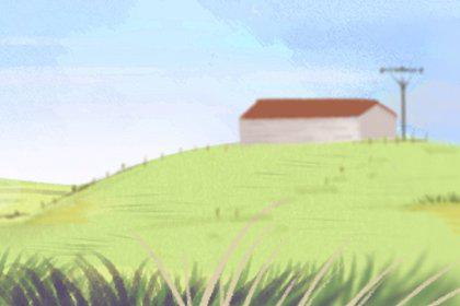 春季养生(420x280) 春季养生(420x280)