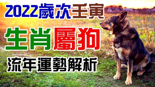 2022年属狗全年运势 生肖狗2022年运势大全