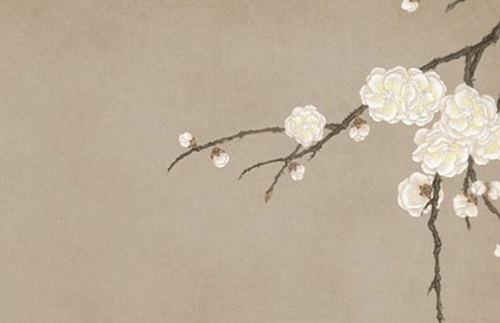 61e4017685f3c.png