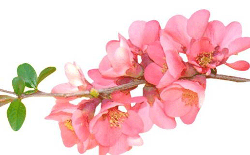 61e76c8085022.png