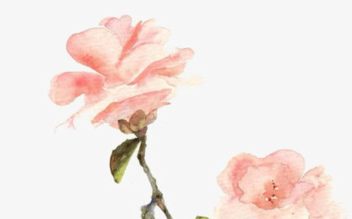 61e76c8f8f44a.png