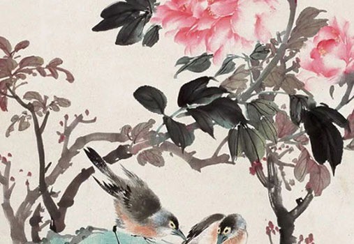 春节家里放什么花比较好