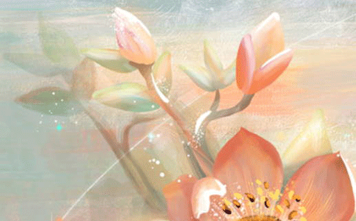 6209aa65810df.png