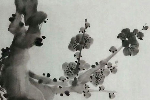 620f79cf72c7e.jpg