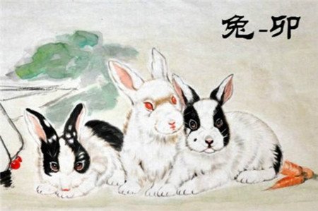 1645432418974178.jpg 2022年属兔人的上半年年运势如何 运势好不好?