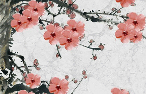 61d2d7e92c786.png