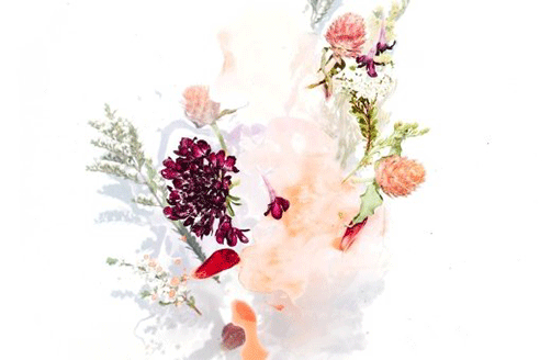 1646109892785776.png 621d6eb4c4785.png