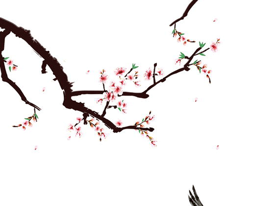 62200f2c62615.png
