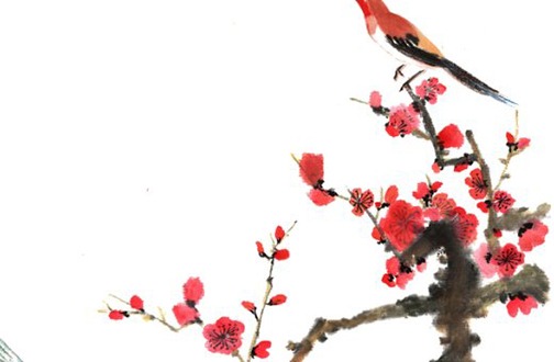 女生戴转运珠几颗最好