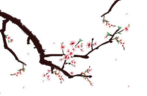 2022年8月属虎人提车的好日子