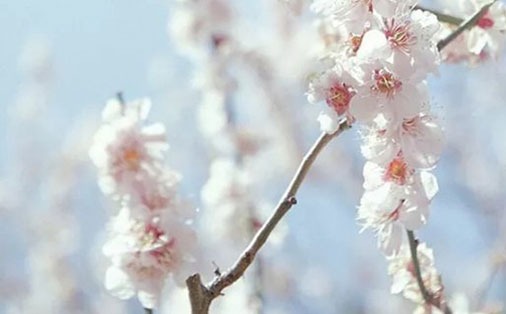 1646877211392124.jpg 2022年几月虎不好