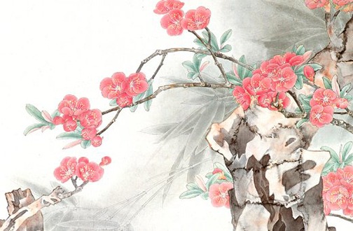 74年属虎女2022年全年运势如何